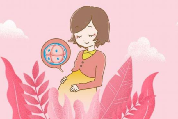 泰國(guó)試管嬰兒費(fèi)用是多少？泰國(guó)試管嬰兒成功率高嗎？